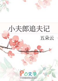 小夫郎追夫记免费